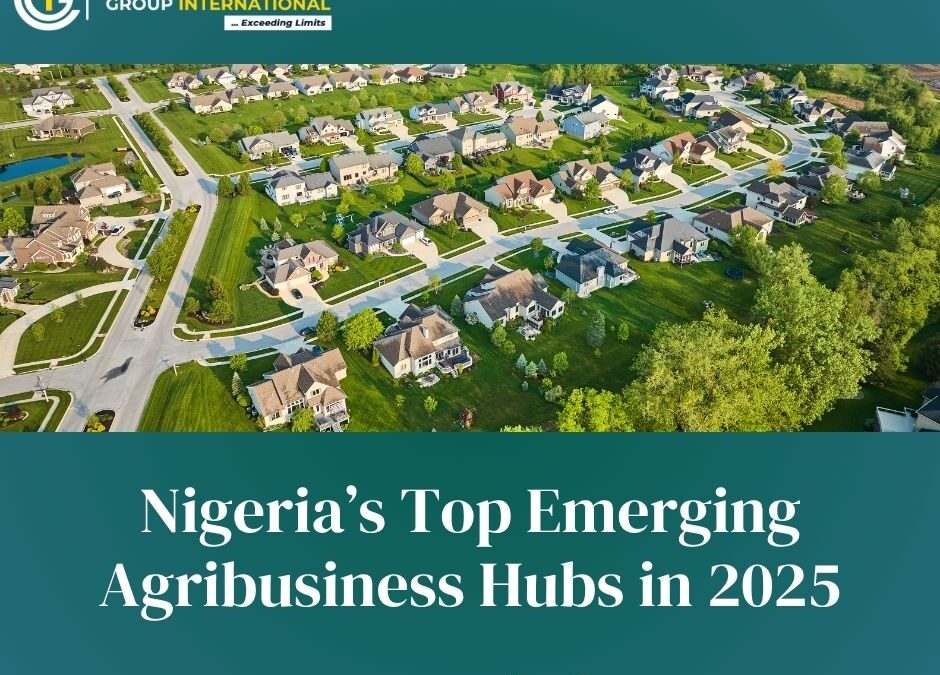 emerging agribusiness hubs in Nigeria