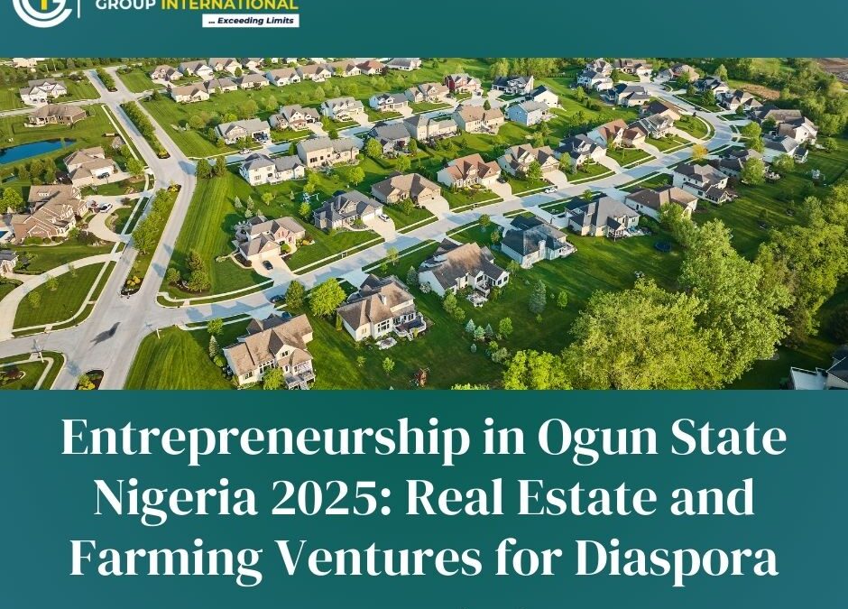 entrepreneurship in Ogun State Nigeria