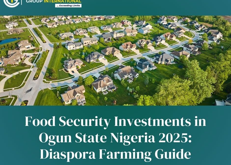food security investments Ogun State Nigeria 2025