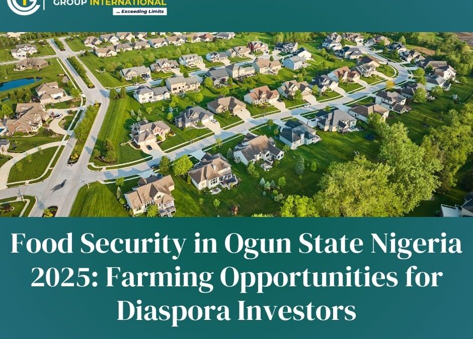 Food Security in Ogun State Nigeria 2025: Farming Opportunities for Diaspora Investors