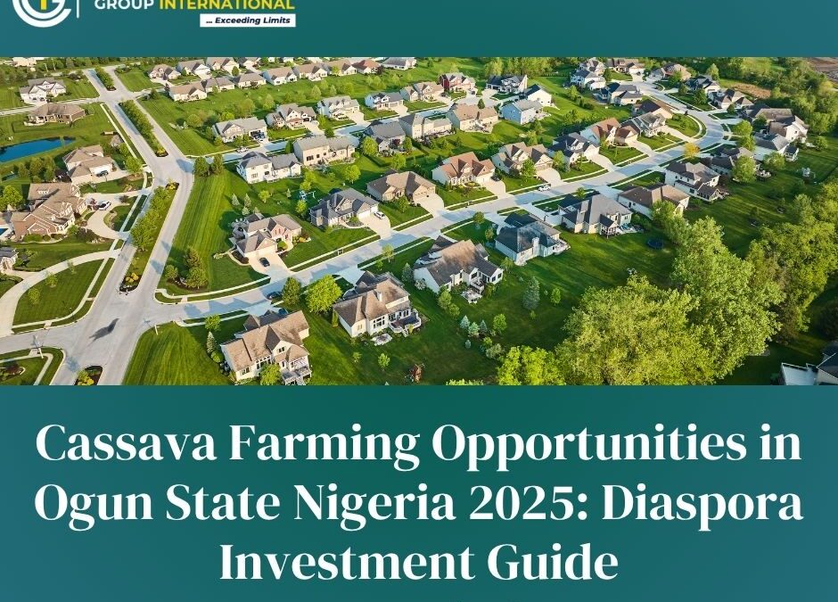Cassava Farming Opportunities in Ogun State Nigeria 2025: Diaspora Investment Guide