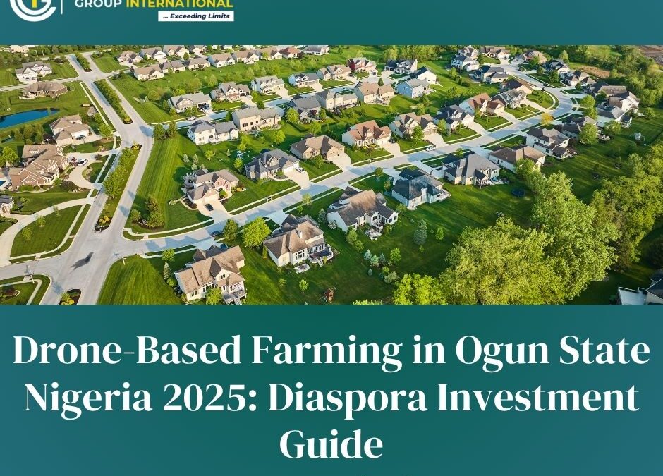 Drone-Based Farming in Ogun State Nigeria 2025: Diaspora Investment Guide