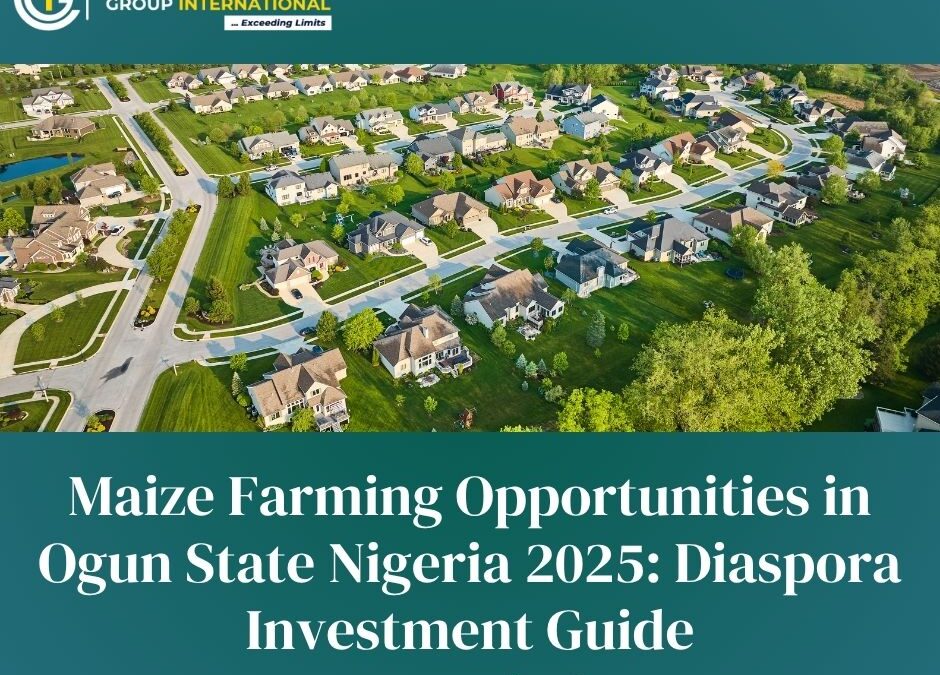 Maize Farming Opportunities in Ogun State Nigeria 2025: Diaspora Investment Guide