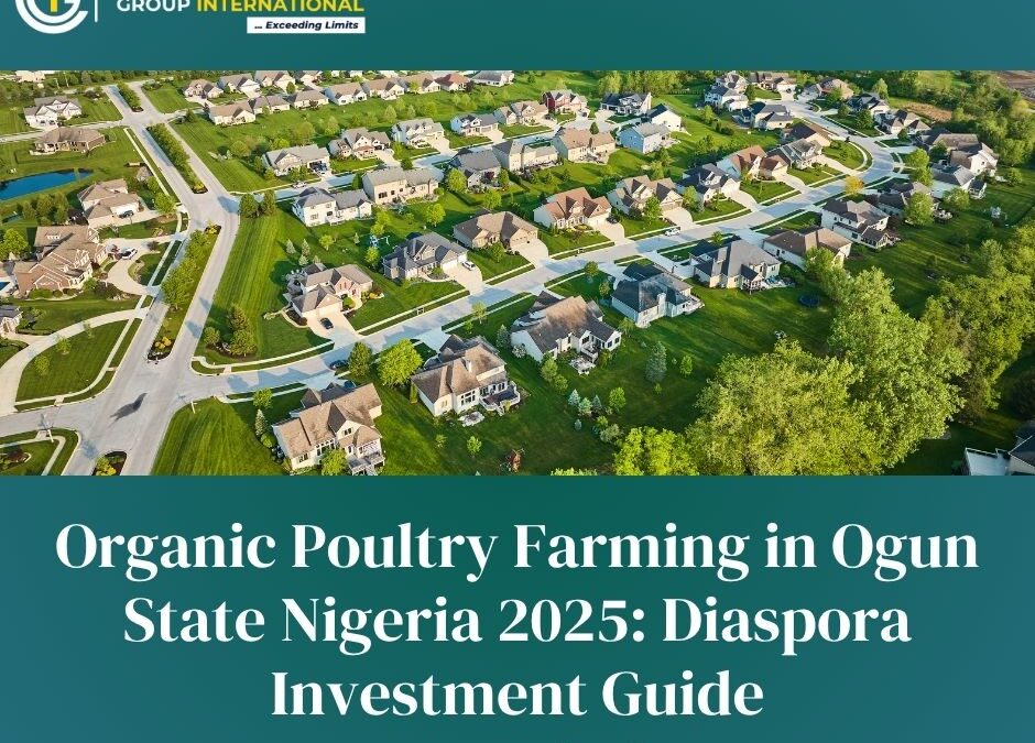 Organic Poultry Farming in Ogun State Nigeria 2025: Diaspora Investment Guide