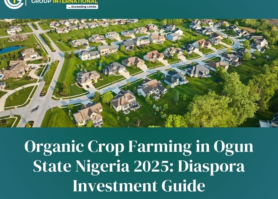 Organic Crop Farming in Ogun State Nigeria 2025: Diaspora Investment Guide