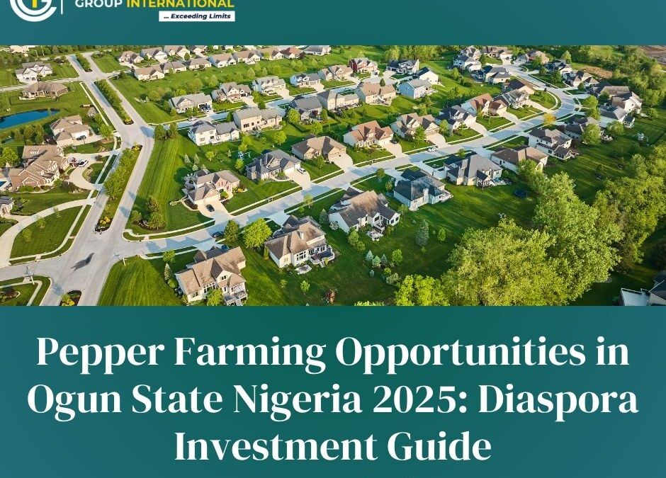 Pepper Farming Opportunities in Ogun State Nigeria 2025: Diaspora Investment Guide