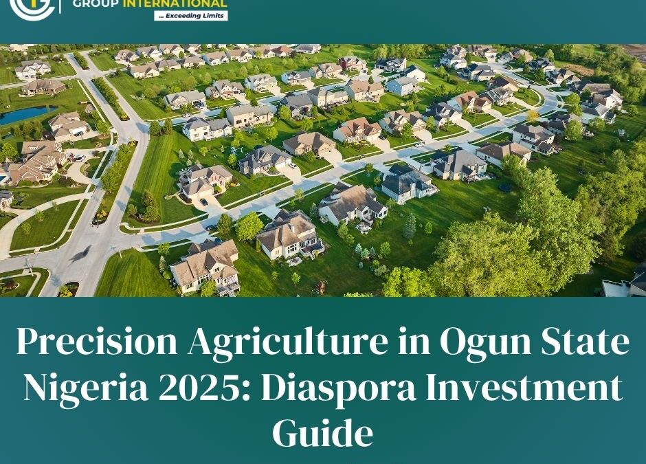 Precision Agriculture in Ogun State Nigeria 2025: Diaspora Investment Guide