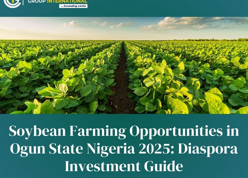 Soybean Farming Opportunities in Ogun State Nigeria 2025: Diaspora Investment Guide