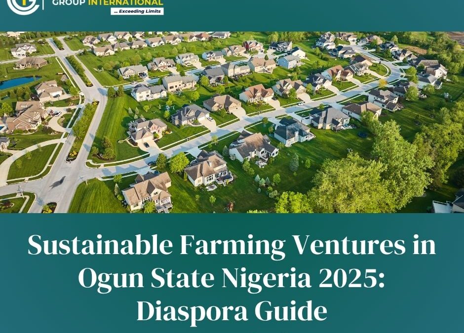 Sustainable Farming Ventures in Ogun State Nigeria 2025: Diaspora Guide