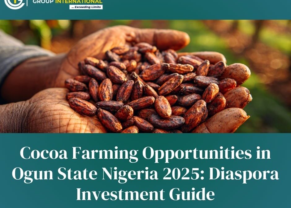 Cocoa Farming Opportunities in Ogun State Nigeria 2025: Diaspora Investment Guide