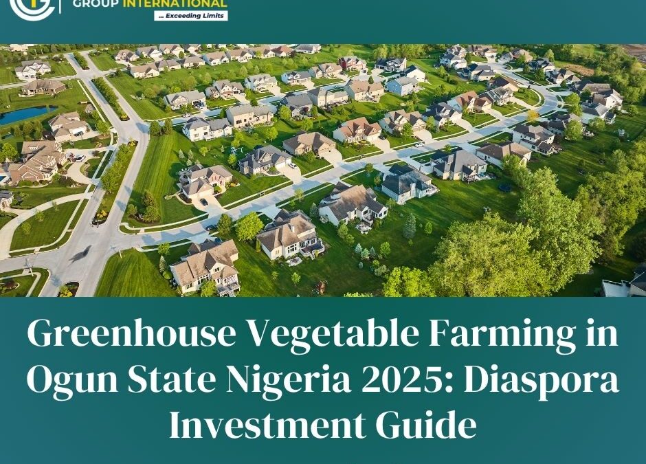 Greenhouse Vegetable Farming in Ogun State Nigeria 2025: Diaspora Investment Guide