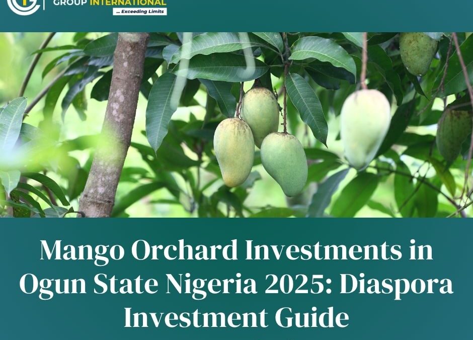 Mango Orchard Investments in Ogun State Nigeria 2025: Diaspora Investment Guide