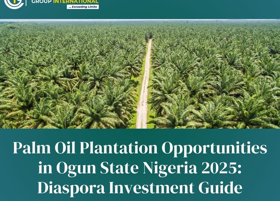 Palm Oil Plantation Opportunities in Ogun State Nigeria 2025: Diaspora Investment Guide