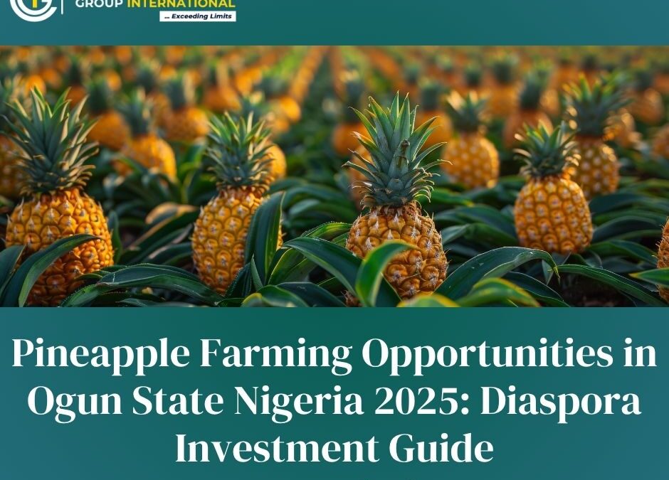 Pineapple Farming Opportunities in Ogun State Nigeria 2025: Diaspora Investment Guide