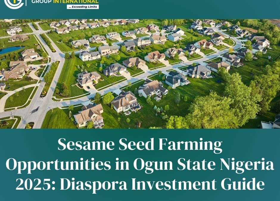 Sesame Seed Farming Opportunities in Ogun State Nigeria 2025: Diaspora Investment Guide