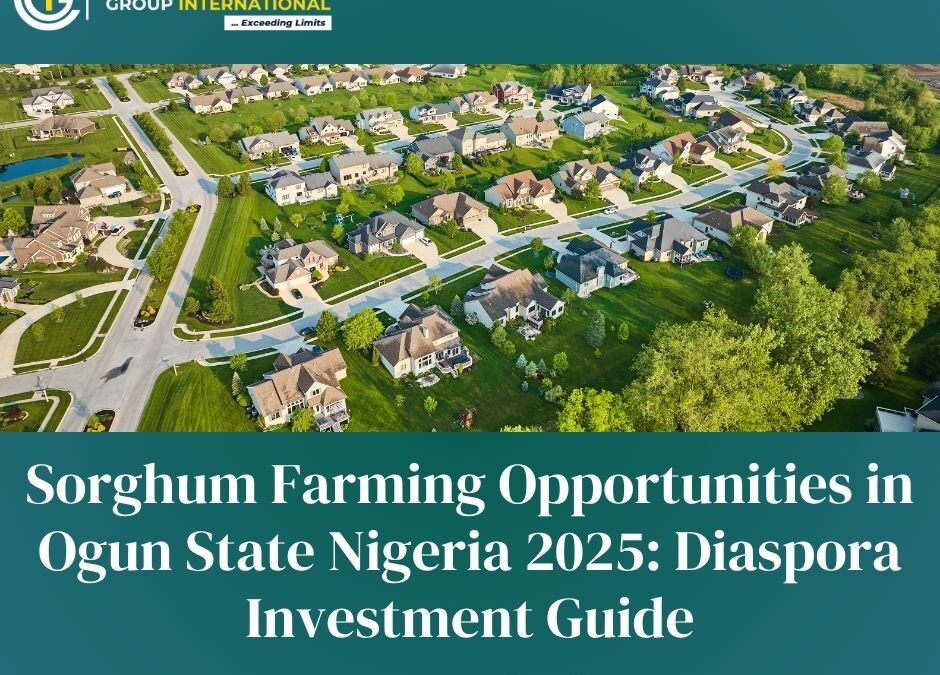 Sorghum Farming Opportunities in Ogun State Nigeria 2025: Diaspora Investment Guide